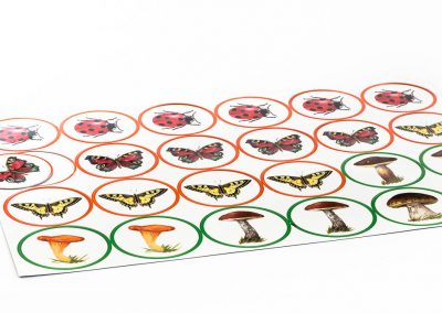 magnesy edukacyjne, produkty reklamowe, gadżety reklamowe, magnesy reklamowe, magnesy na lodówkę