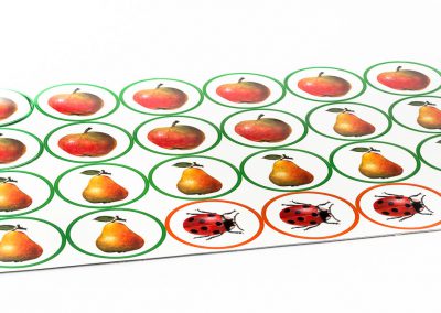 magnesy edukacyjne, produkty reklamowe, gadżety reklamowe, magnesy reklamowe, magnesy na lodówkę