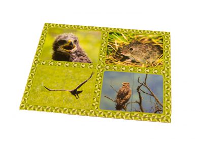 magnesy edukacyjne, produkty reklamowe, gadżety reklamowe, magnesy reklamowe, magnesy na lodówkę