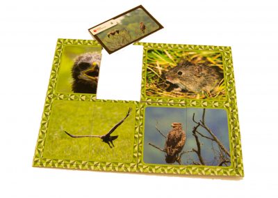 magnesy edukacyjne, produkty reklamowe, gadżety reklamowe, magnesy reklamowe, magnesy na lodówkę