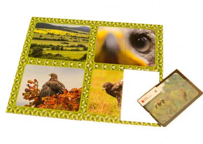 magnesy edukacyjne, produkty reklamowe, gadżety reklamowe, magnesy reklamowe, magnesy na lodówkę