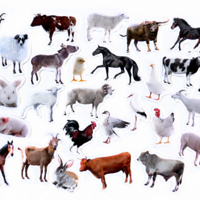 Magnesy na lodówkę poznaję ZWIERZĘTA FARMA 28 EL z folii magnetycznej